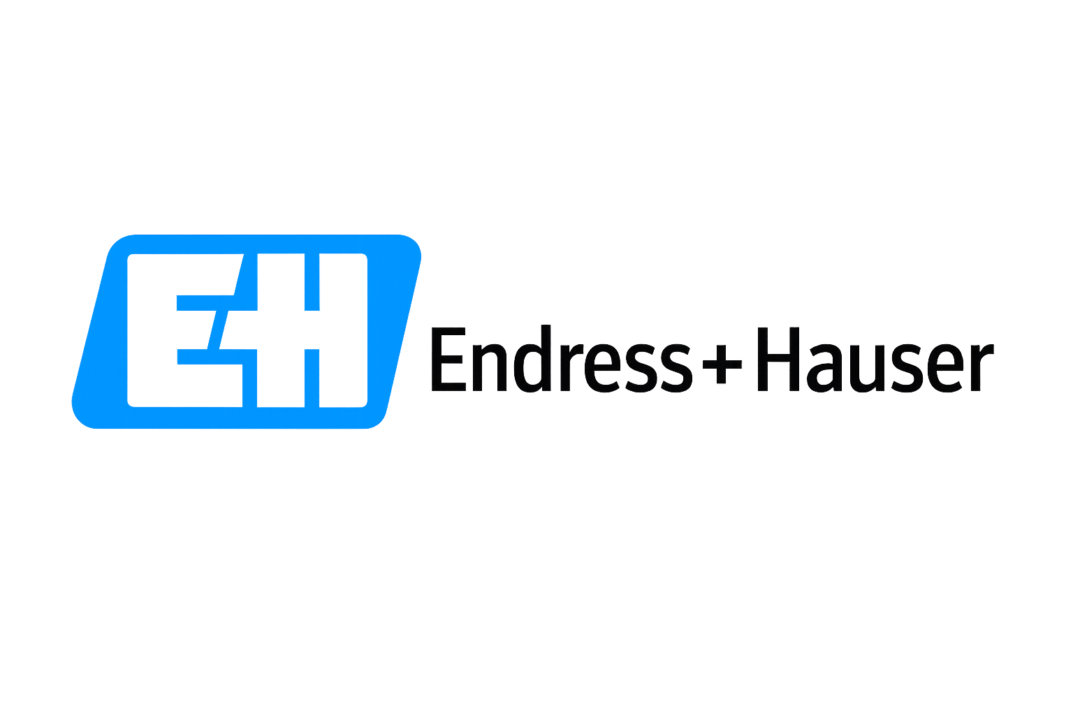 لوگوی شرکت Endress+Hauser، تولیدکننده تجهیزات ابزار دقیق، اندازه‌گیری و کنترل فرآیندهای صنعتی